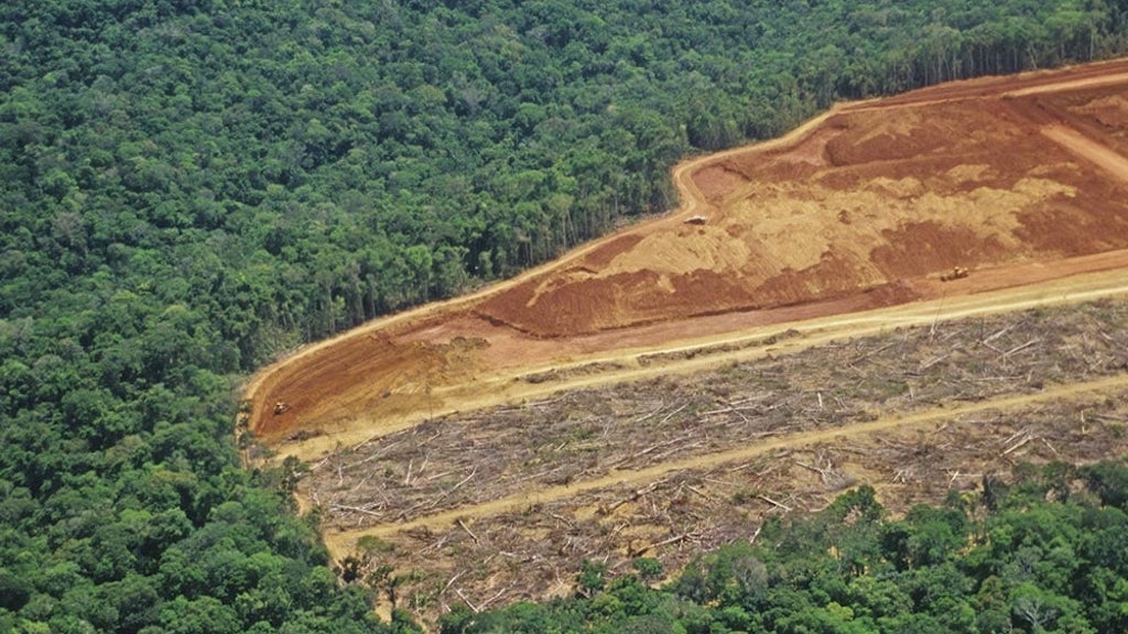 amazonas.jpg