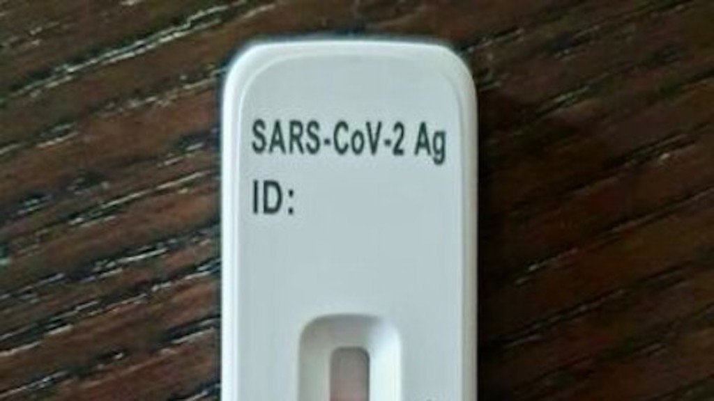 covid-1.jpg