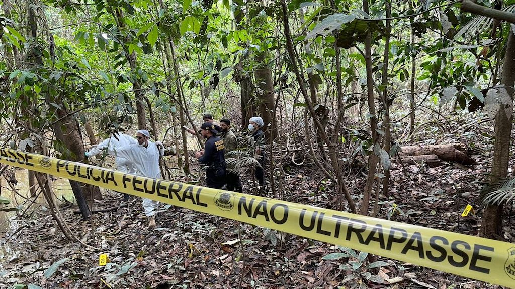 amazoniascrime.jpg