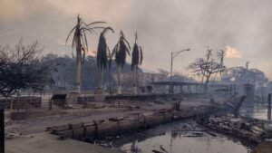 incendiohavai-300x169.jpeg