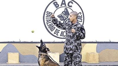 bac.jpg