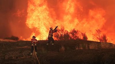 incendioflorestal-2.jpg