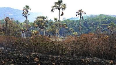 incendio-7.jpg