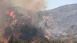 incendioflorestais.jpg